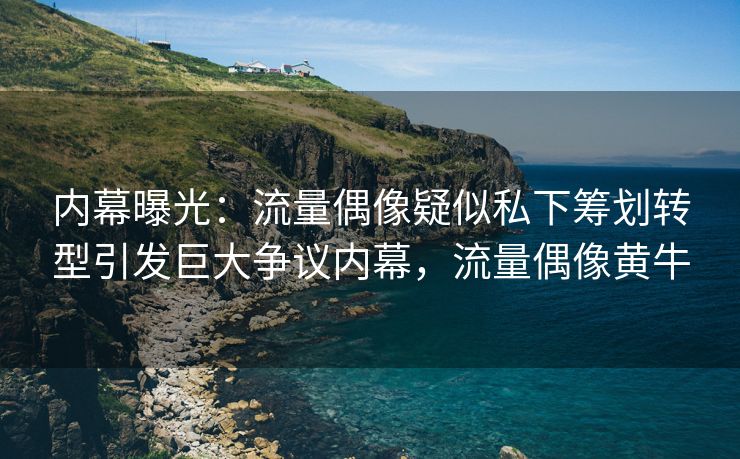 内幕曝光：流量偶像疑似私下筹划转型引发巨大争议内幕，流量偶像黄牛