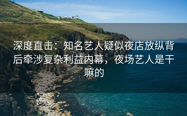 深度直击：知名艺人疑似夜店放纵背后牵涉复杂利益内幕，夜场艺人是干嘛的